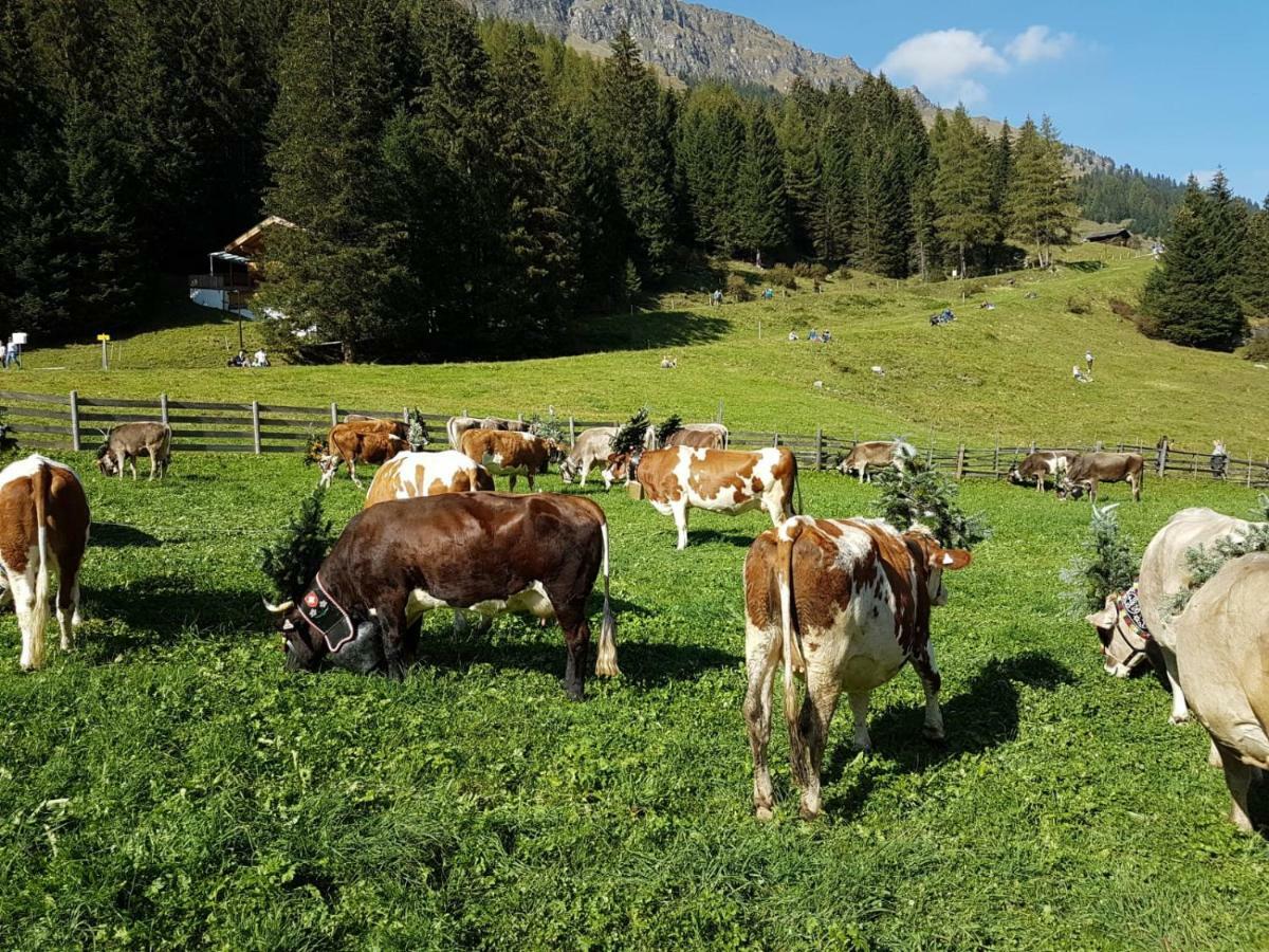 Eberl'S Zirbenlodge Ginzling Extérieur photo