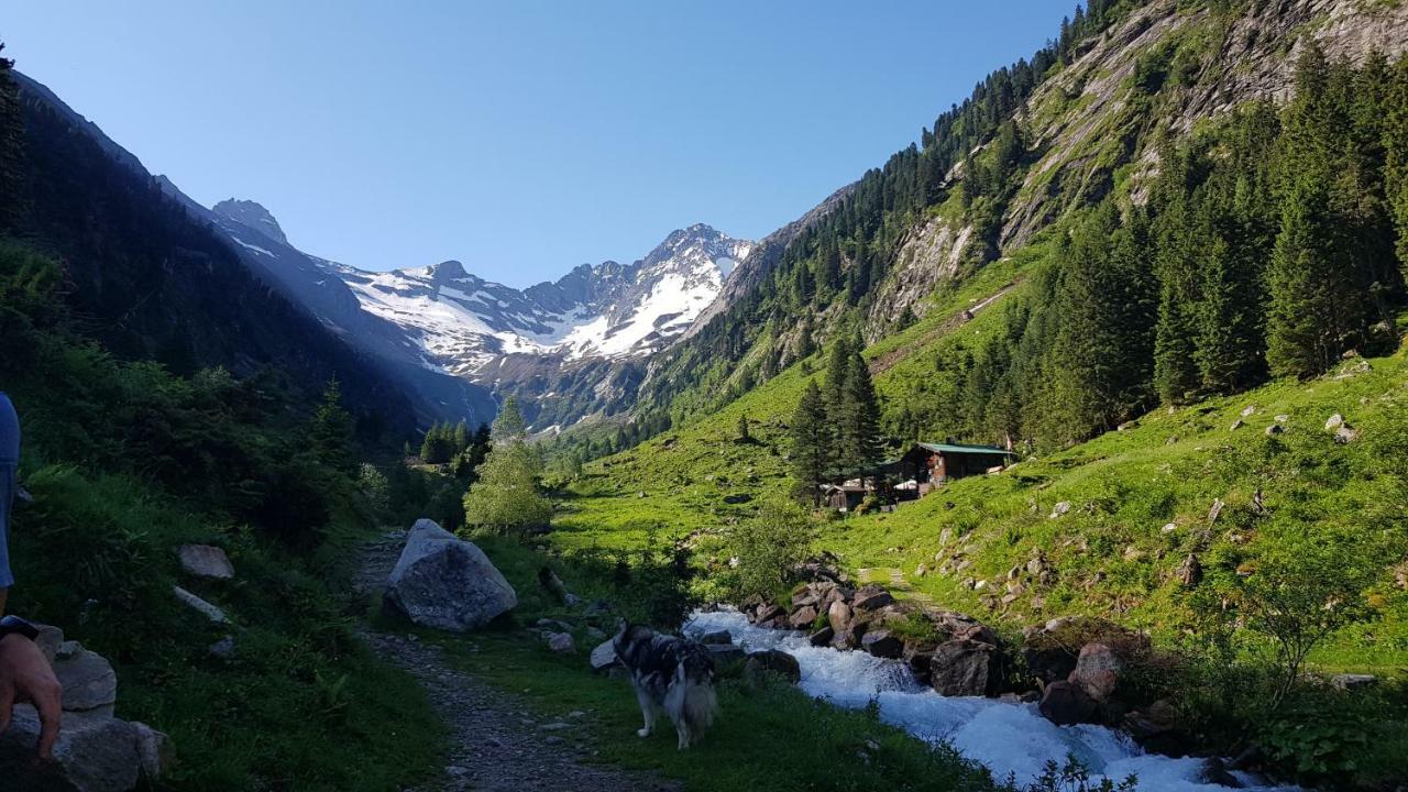 Eberl'S Zirbenlodge Ginzling Extérieur photo