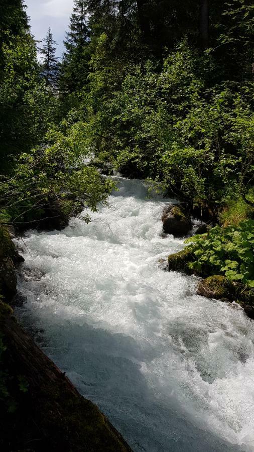 Eberl'S Zirbenlodge Ginzling Extérieur photo