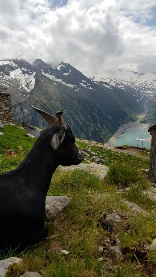 Eberl'S Zirbenlodge Ginzling Extérieur photo