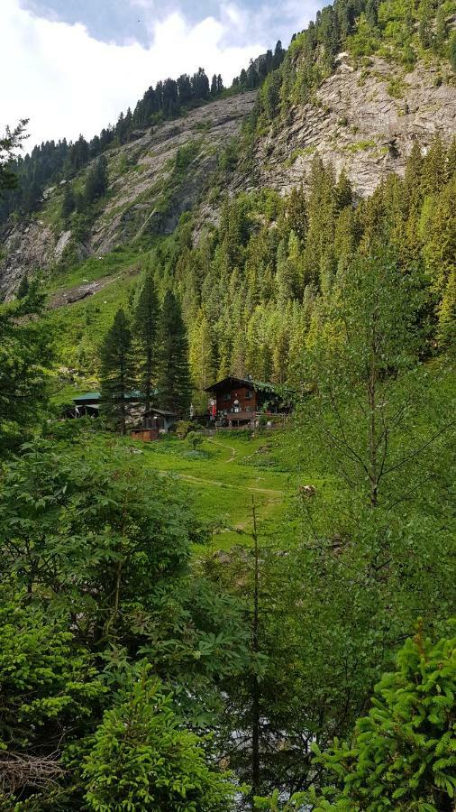 Eberl'S Zirbenlodge Ginzling Extérieur photo