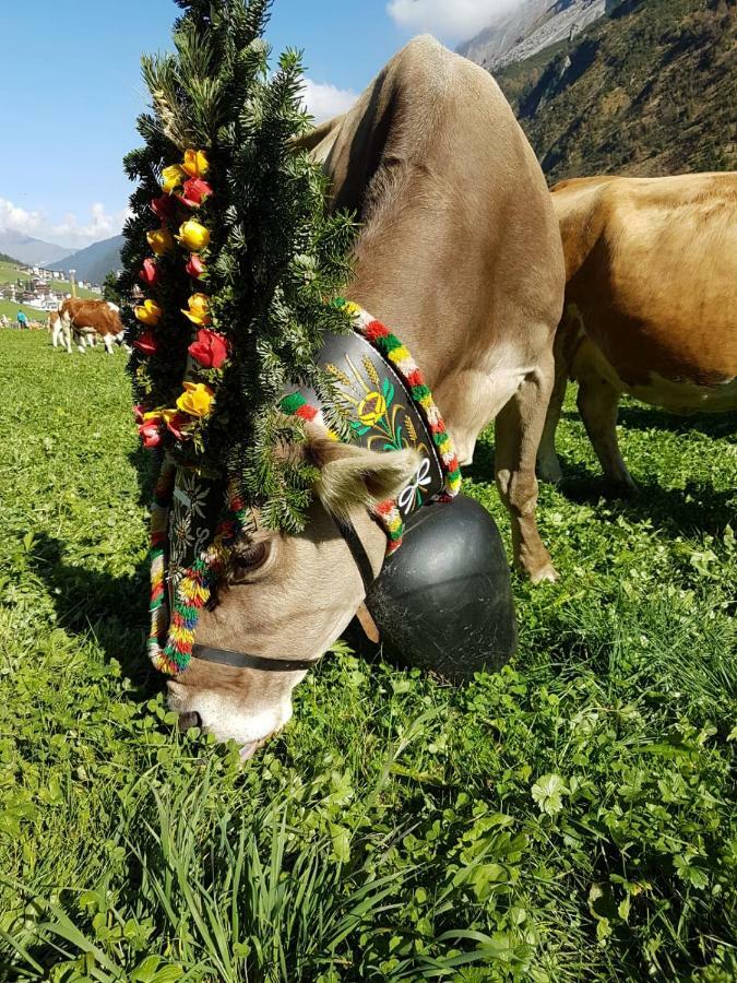 Eberl'S Zirbenlodge Ginzling Extérieur photo